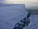 Арктическая история  - Фотография 10