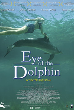Eye of the Dolphin - Michael D. Sellers