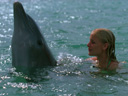 Delfīna acis filma - Bilde 11