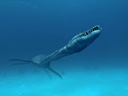 Чудища морей 3D: Доисторическое приключение  - Фотография 6