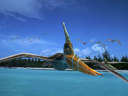 Чудища морей 3D: Доисторическое приключение  - Фотография 8