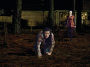 The Strangers movie - Picture 7