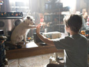 Hotel for Dogs movie - Picture 4