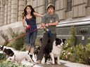 Hotel for Dogs movie - Picture 6