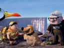 Up movie - Picture 7