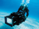 OceanWorld 3D movie - Picture 3