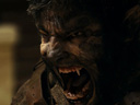 The Wolfman movie - Picture 14