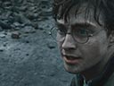 Harijs Poters un Nāves dāvesti: Pirmā daļa filma - Bilde 6