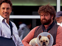 Due Date movie - Picture 13