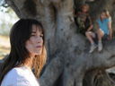 The Tree movie - Picture 3