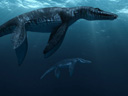 Sea Rex: Морские динозавры 3D  - Фотография 4