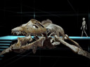 Sea Rex: Морские динозавры 3D  - Фотография 5