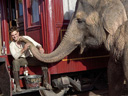Water for Elephants movie - Picture 10