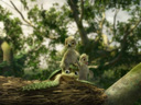 A Turtle's Tale: Sammy's Adventures movie - Picture 7