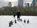 Пингвины мистера Поппера  - Фотография 8