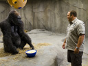 Zookeeper movie - Picture 5