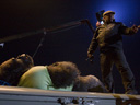 Zookeeper movie - Picture 7