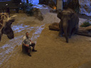 Zookeeper movie - Picture 13