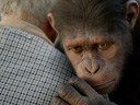 Rise of the Planet of the Apes movie - Picture 2