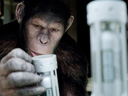 Rise of the Planet of the Apes movie - Picture 4