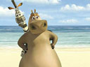 Madagascar movie - Picture 6