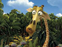 Madagascar movie - Picture 7