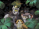 Madagaskara filma - Bilde 10