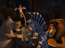 Madagascar movie - Picture 12