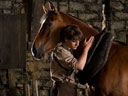 Kara zirgs filma - Bilde 5