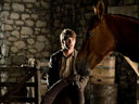 Kara zirgs filma - Bilde 6