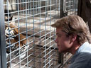 We bought a Zoo movie - Picture 1