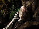 The Hobbit: An Unexpected Journey movie - Picture 13