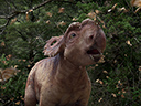 Прогулки с динозаврами  - Фотография 3