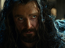 The Hobbit: The Desolation of Smaug movie - Picture 7