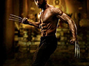 The Wolverine movie - Picture 4