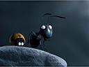 Minuscule: Valley of the Lost Ants movie - Picture 4