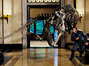 Night at the Museum movie - Picture 3