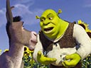 Shrek movie - Picture 5