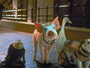 Babe: Pig in the City movie - Picture 8