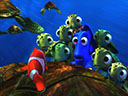Finding Nemo movie - Picture 5