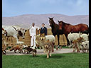 Evan Almighty movie - Picture 4