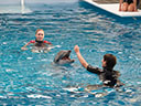 Dolphin Tale 2 movie - Picture 6