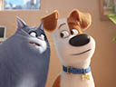 The Secret Life of Pets movie - Picture 1