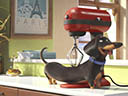 The Secret Life of Pets movie - Picture 5