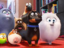 The Secret Life of Pets movie - Picture 6