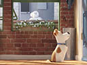 The Secret Life of Pets movie - Picture 8
