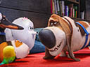 The Secret Life of Pets movie - Picture 11