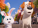 The Secret Life of Pets movie - Picture 13