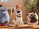 The Secret Life of Pets movie - Picture 14