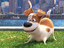 The Secret Life of Pets movie - Picture 15
